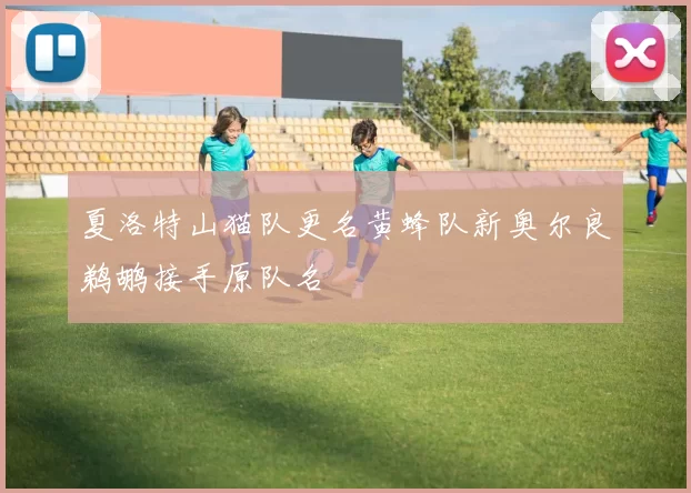 夏洛特山猫队更名黄蜂队新奥尔良鹈鹕接手原队名
