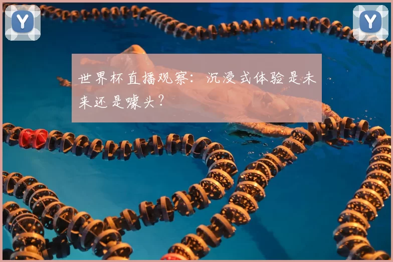 世界杯直播观察:沉浸式体验是未来还是噱头?