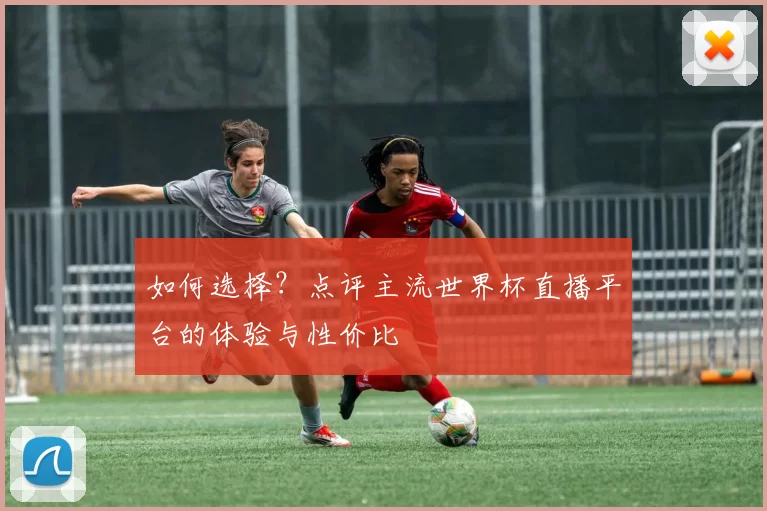 如何选择?点评主流世界杯直播平台的体验与性价比