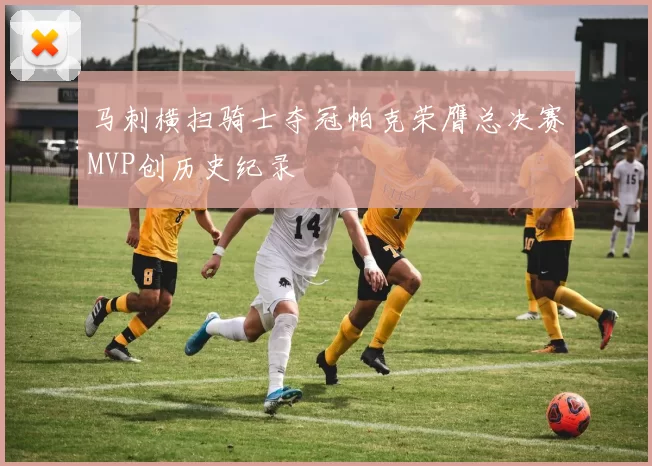 马刺横扫骑士夺冠帕克荣膺总决赛MVP创历史纪录