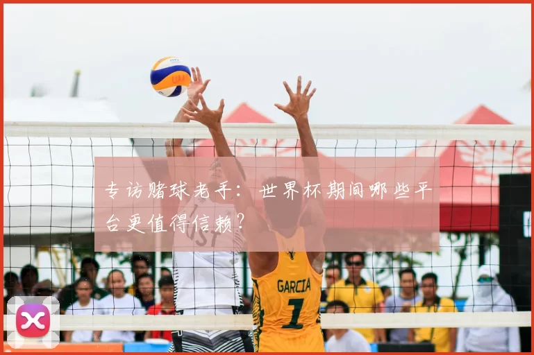 专访赌球老手:世界杯期间哪些平台更值得信赖?