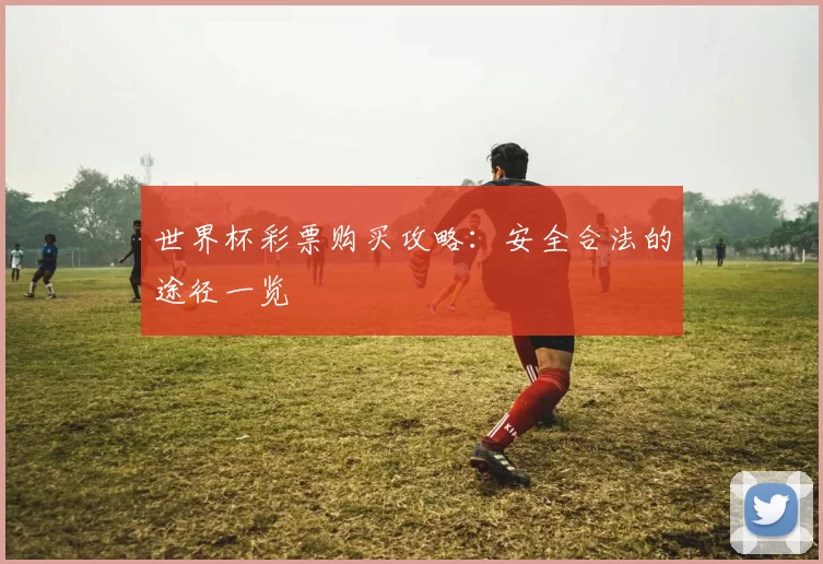 世界杯彩票购买攻略:安全合法的途径一览