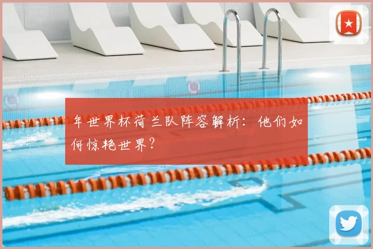 年世界杯荷兰队阵容解析:他们如何惊艳世界?