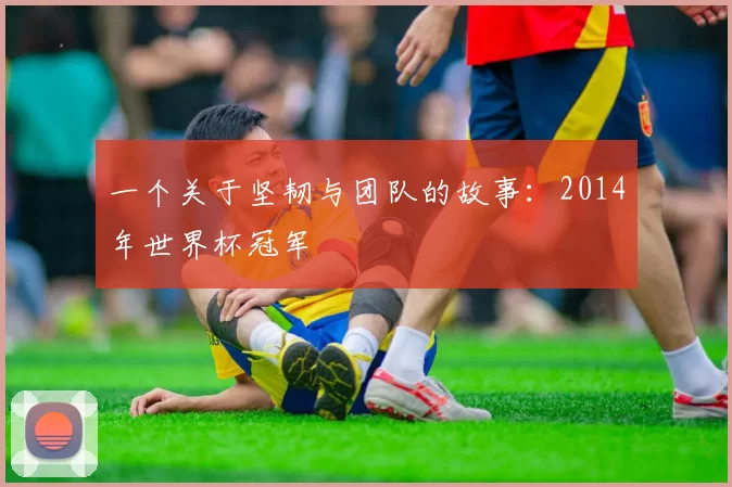 一个关于坚韧与团队的故事:2014年世界杯冠军