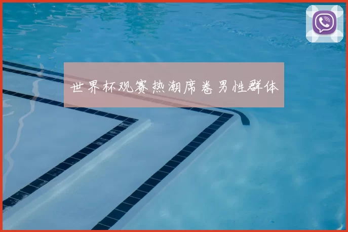 世界杯观赛热潮席卷男性群体