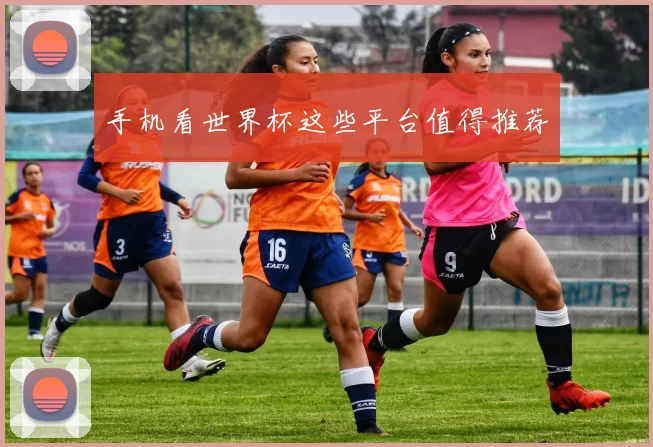 手机看世界杯这些平台值得推荐
