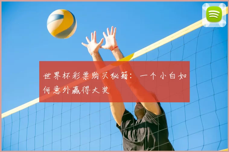 世界杯彩票购买秘籍：一个小白如何意外赢得大奖