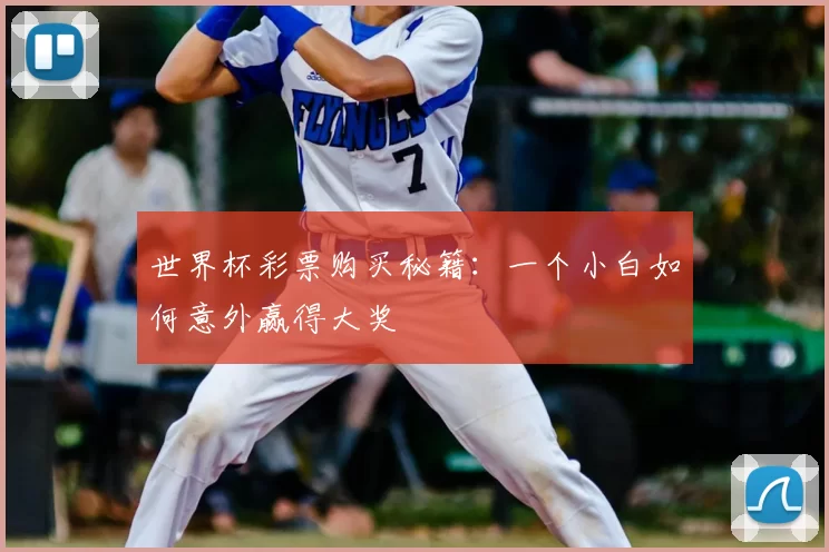 世界杯彩票购买秘籍：一个小白如何意外赢得大奖