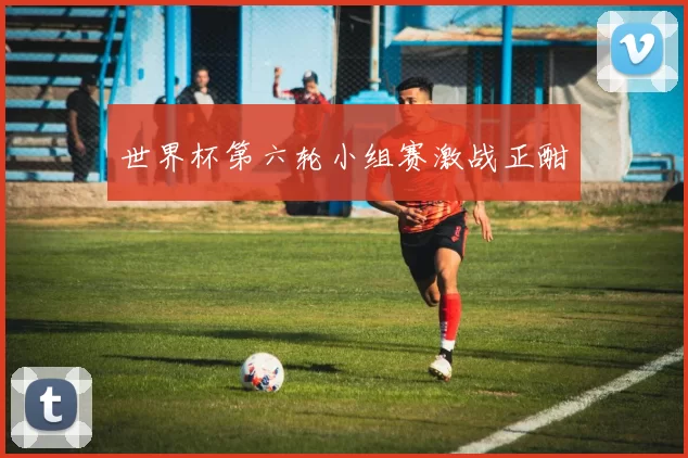 世界杯第六轮小组赛激战正酣