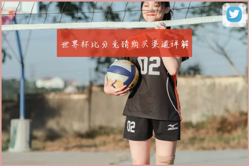 世界杯比分竞猜购买渠道详解